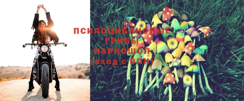 Галлюциногенные грибы MAGIC MUSHROOMS  мориарти телеграм  Нижнеудинск 